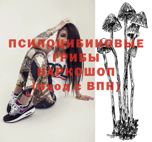 гидропоника Покров